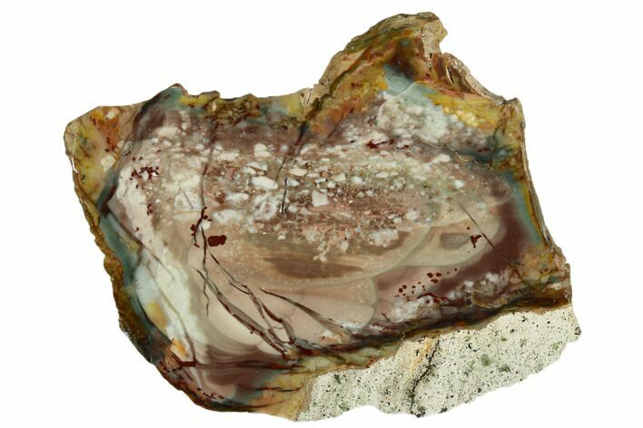 Colorful, Polished Slab of Morrisonite Jasper - Oregon #184907